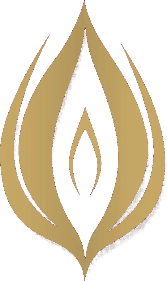 Venus Logo